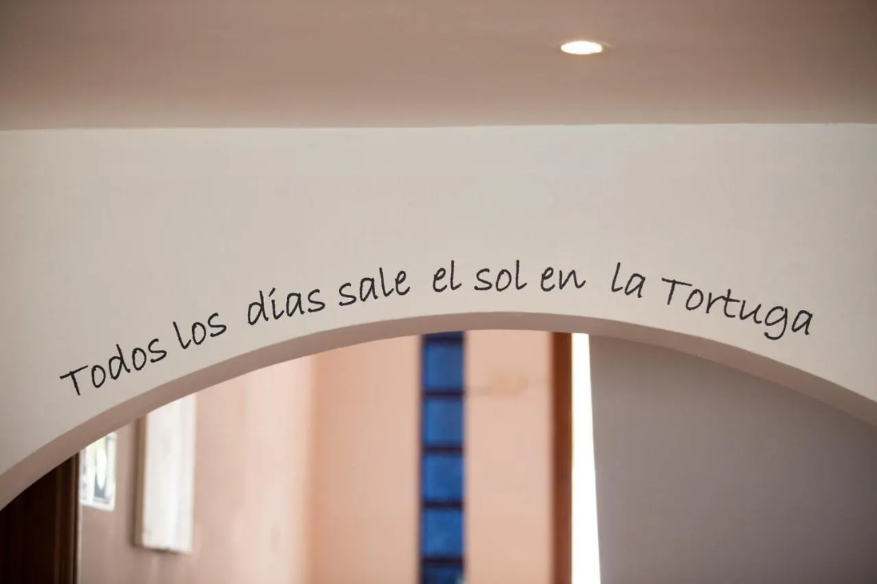 La Tortuga Hostel Costa Adeje  Spanien